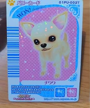 Amazon.co.jp: ワンタメ チワワ パピーカード : ホーム＆キッチン